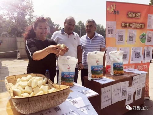 好品喀什山東行活動總結(jié)