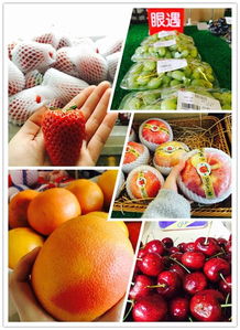 大河網(wǎng)眼遇美食品鑒團(tuán)走進(jìn)果漫水果工廠 感受觸手可及的新鮮